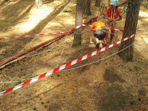 2012-07-19 11.42.17_r